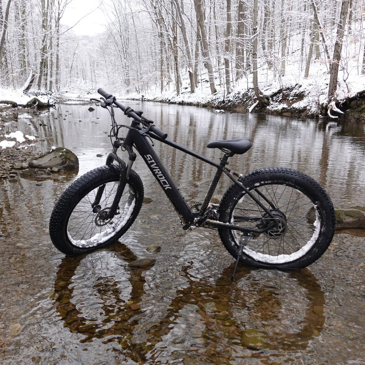 1000W Fat Tire Electric Mountain Bike, 48V 15Ah, 26-Inch