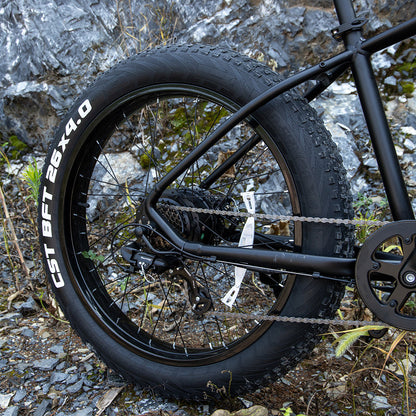 1000W Fat Tire Electric Mountain Bike, 48V 15Ah, 26-Inch
